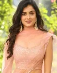 Hemal Ingle
